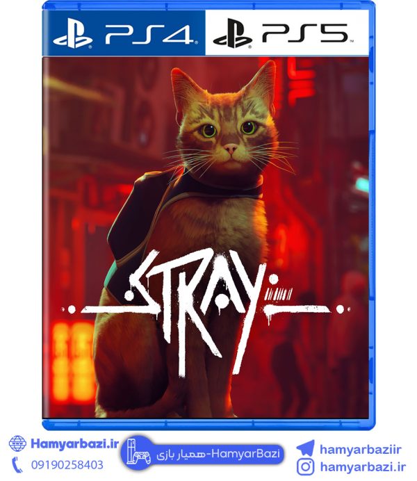 خرید اکانت قانونی ظرفیتی stray
